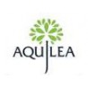 Aquilea