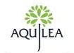 Aquilea