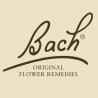 Bach Rescue