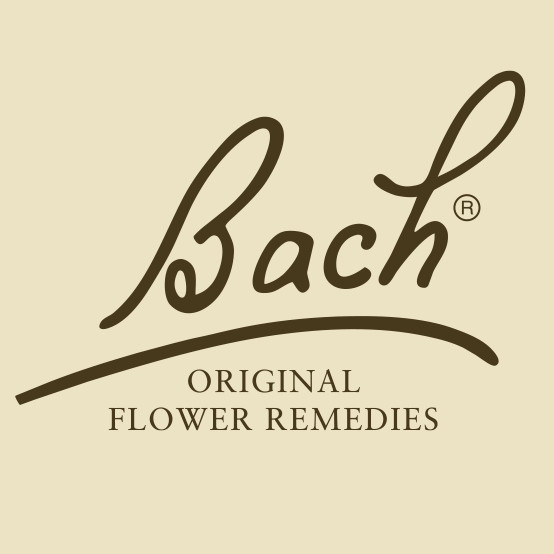 Bach Rescue